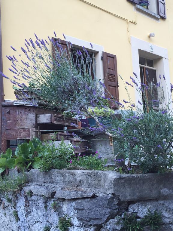 B&B Valle Spluga Il Pertugio Chiavenna Bagian luar foto